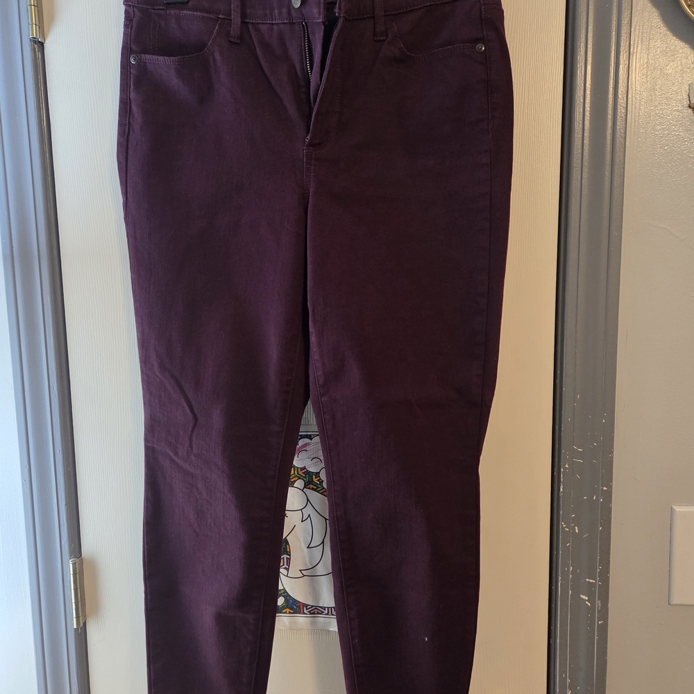 Talbots Women's Plum Skinny Jeans